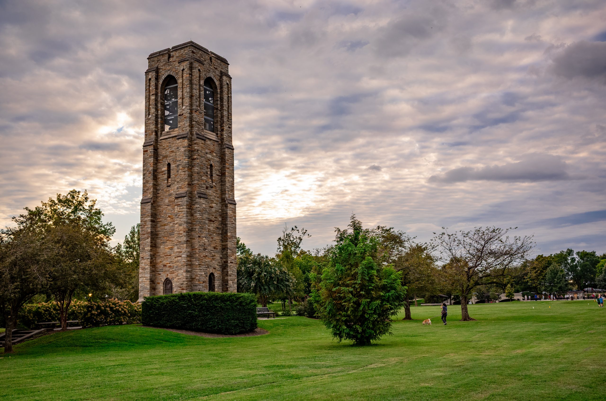 Meinhofer's Photography Journey